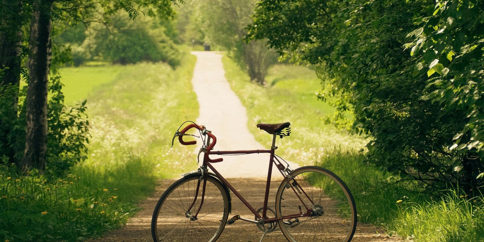 Radfahren in der Odenwaldlandschaft